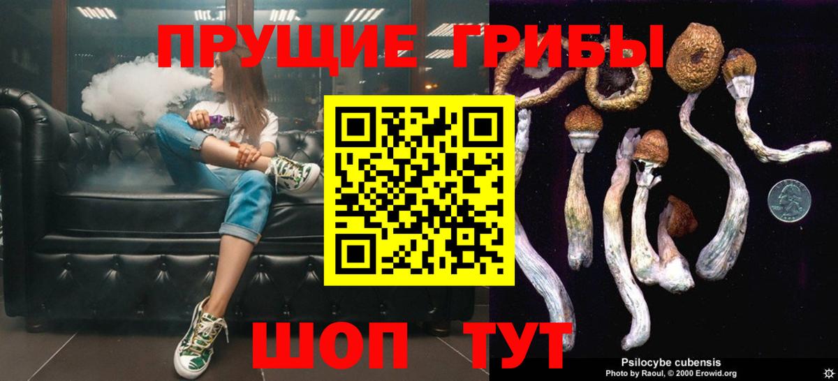 Псилоцибиновые грибы GOLDEN TEACHER  Вход с VPN  Саранск 